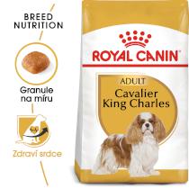Royal Canin Dog Adult Cavalier King Charles - 1,5kg