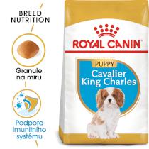 Royal Canin Dog Puppy Cavalier King Charles - 1,5kg