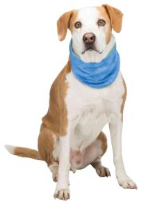 Trixie Dog Chladiaca Šatka - M (28 až 40cm)